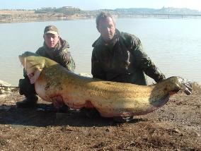 catfishing