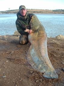 guided catfish holidays