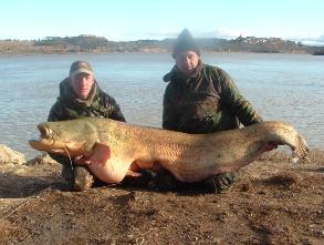 catfish tours spain