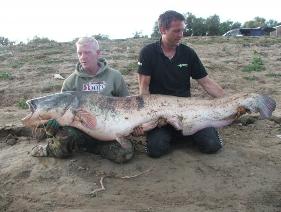 catfishing spain